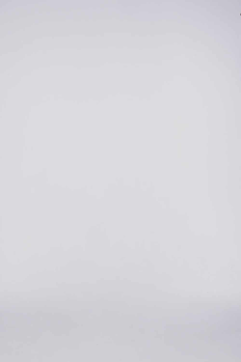 BIUSTONOSZ SPORTOWY ZEFIR